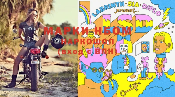 мдпв Волосово