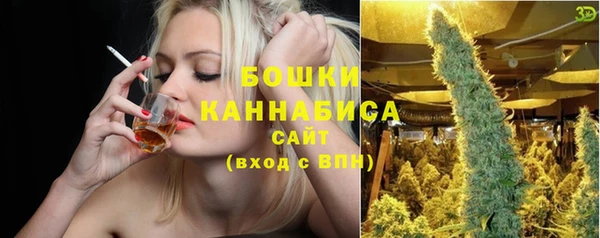 мдпв Волосово